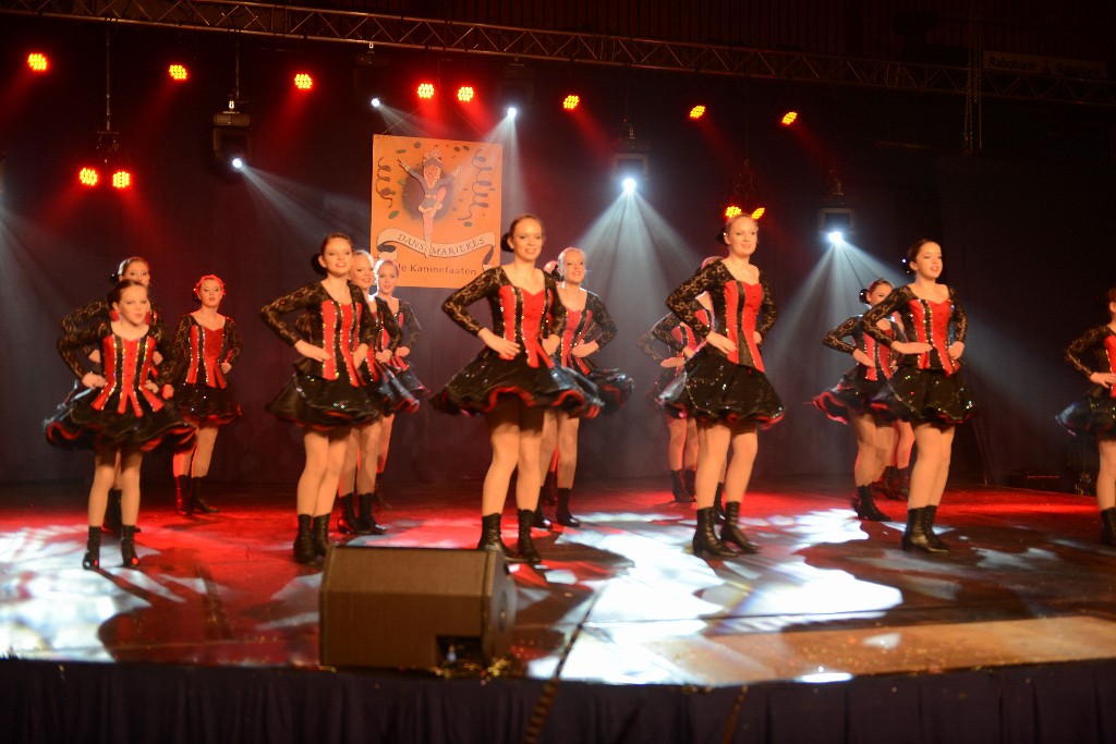 ../Images/Dansmarieke Festival 2016 138.jpg